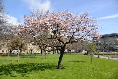 DSC_7330 (Large).JPG